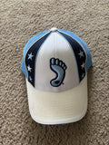 North Carolina cap