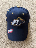Akron Zeps cap