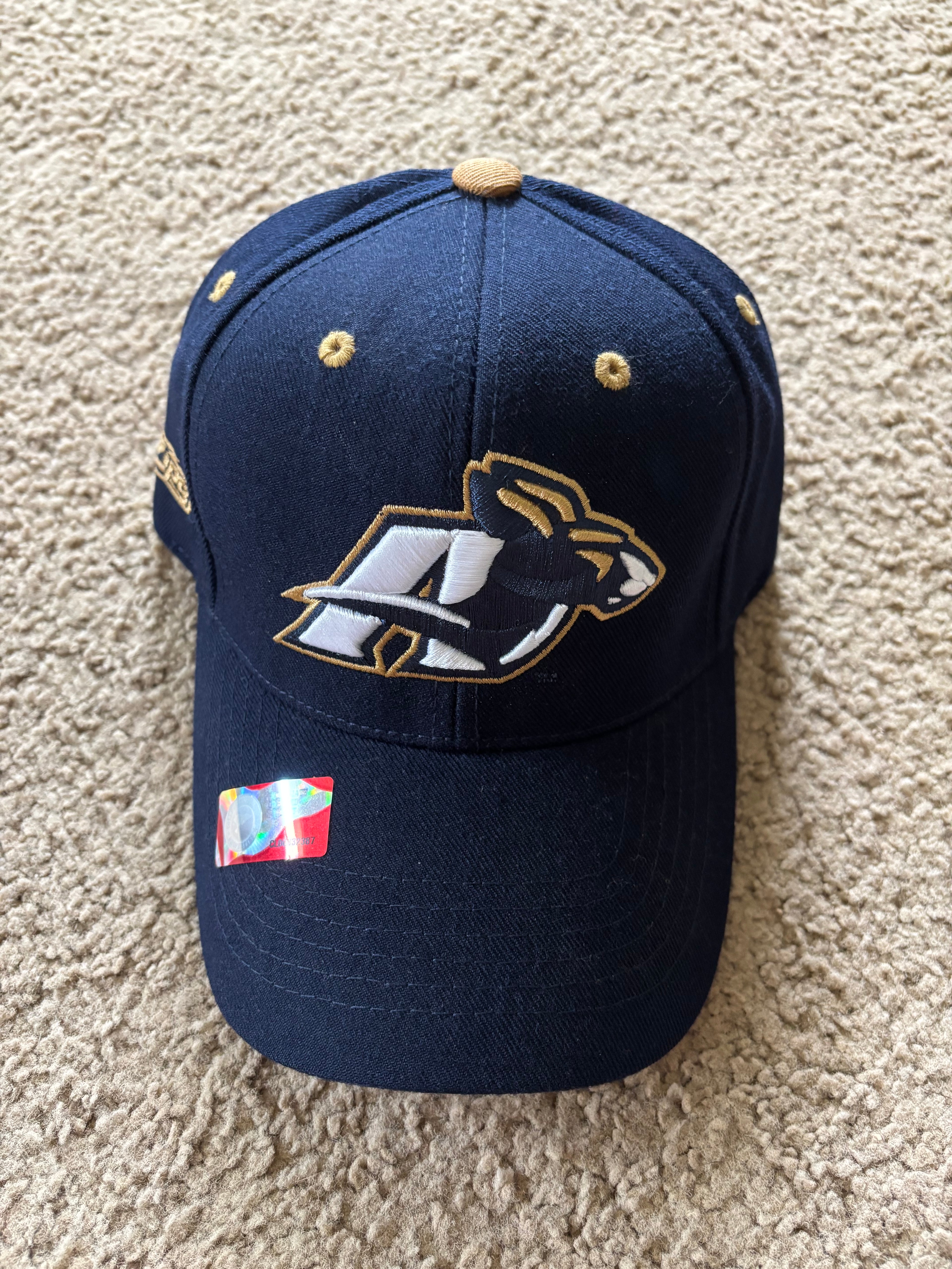 Akron Zeps cap
